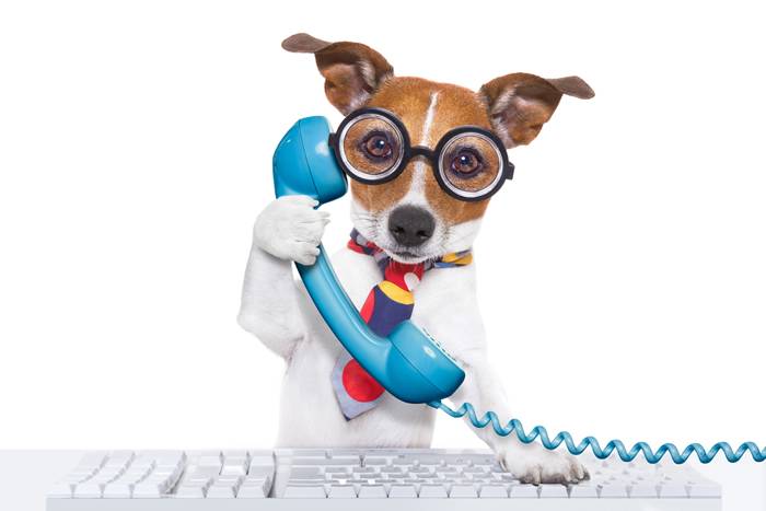 Call or E-mail us for free request of dog kennels.