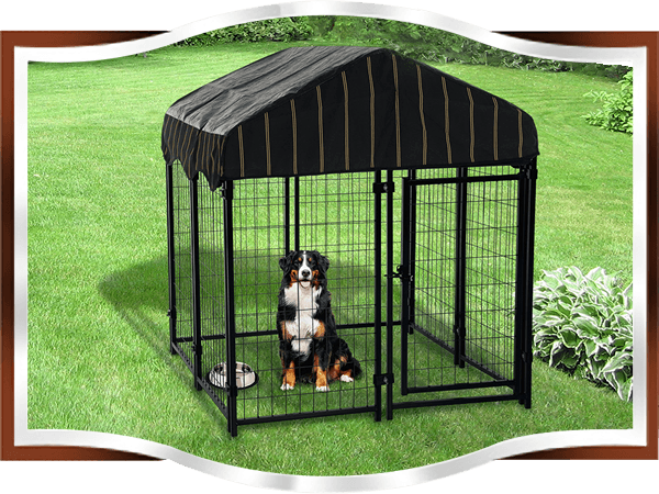 A dog is sitting in the dog kennel, which on the grassland.