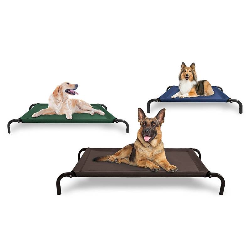 Three different colors elevated pet beds and different dogs on them.