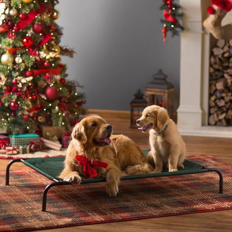 Two dogs are lying on the dark green elevated pet bed and a Christmas tree behind of them