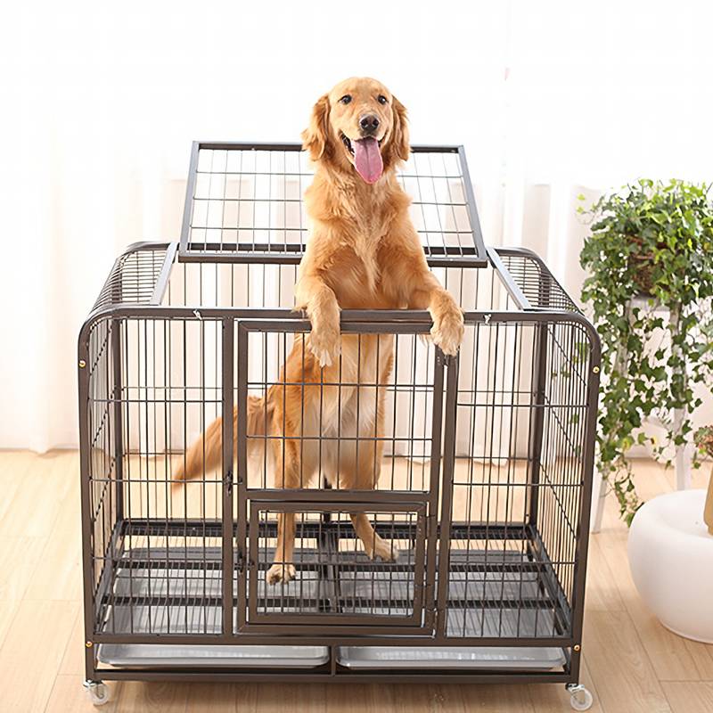 A Golden Retriever is standing in the heavy duty dog crate on the floor.