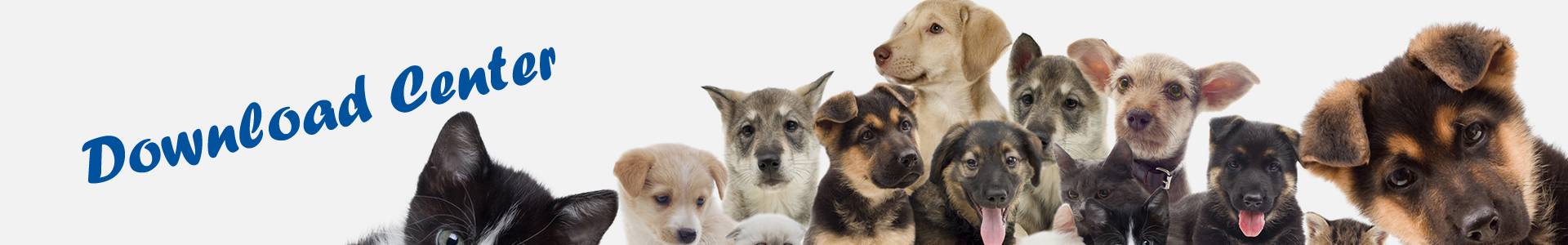 pets kennel downloads img